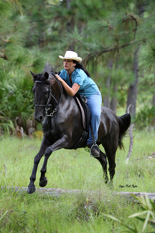 photo credit Stunning Steeds Photo