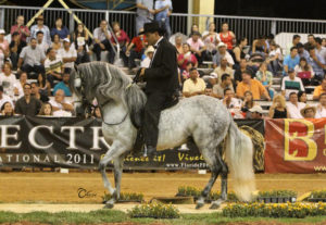 CHERI PRILL PHOTO-0132 Photo credit Stunning Steeds Photography