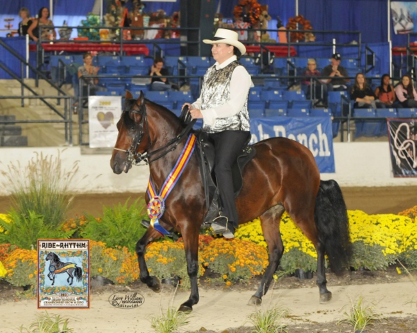 Pictured Above: Amateur Owner of the Year 2013 - Kathy Yarbrough