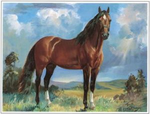 Register Your Paso Fino