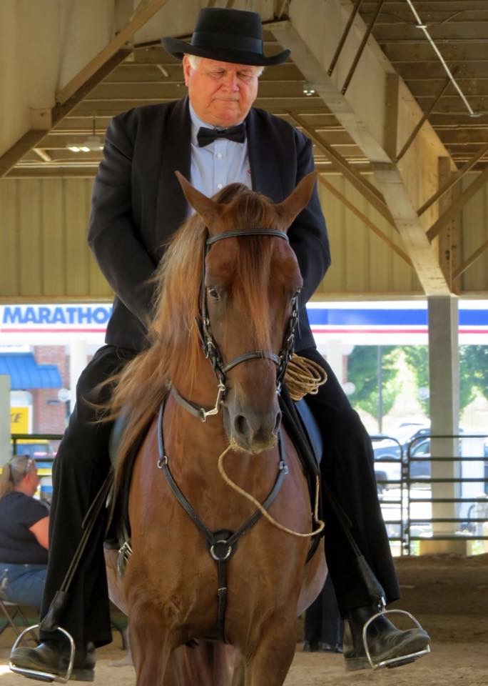 PFHA Hall of Fame Nomination Window is Open Paso Fino Horse Association