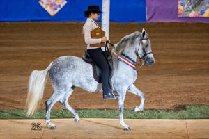 Recreational Horse Rider